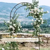 Metal Garden and Wedding Arch, 7.9 × 6.4 ft, photo 3