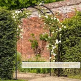 Metal Garden and Wedding Arch, 7.9 × 6.4 ft, photo 5